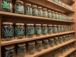 dispensario